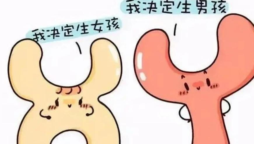 精準(zhǔn)三肖三碼三期內(nèi)必中特,竇萬(wàn)貴受賄案一審開庭_手游版V2.68